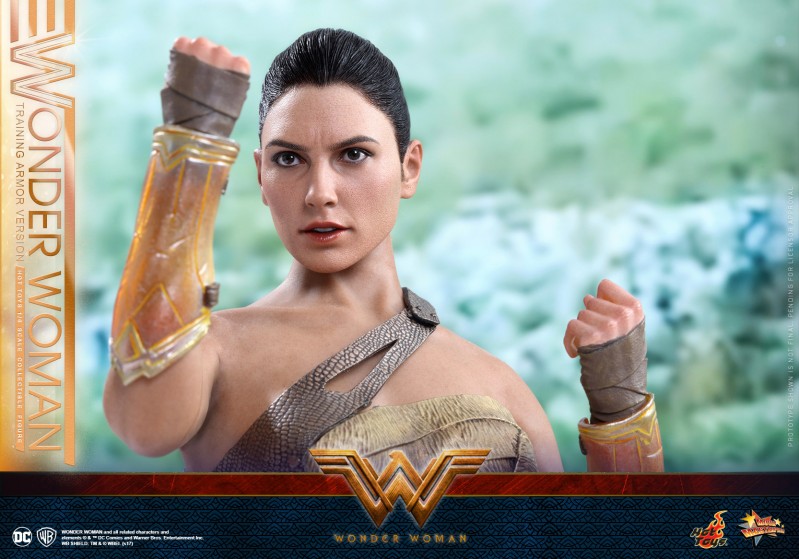 Hot-Toys---Wonder-Woman---Wonder-Woman-(Training-Armor-Version)-Collectible-Figu.jpg