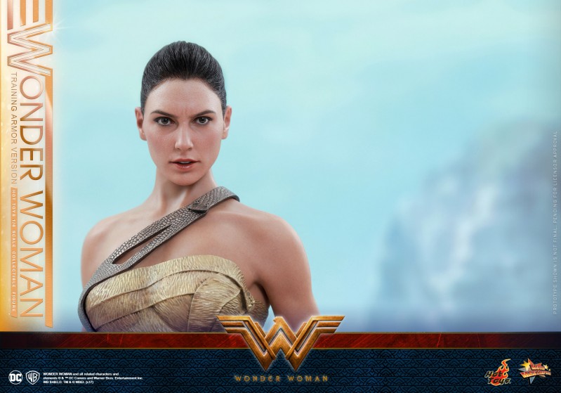 Hot-Toys---Wonder-Woman---Wonder-Woman-(Training-Armor-Version)-Collectible-Figu.jpg