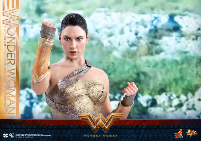 Hot-Toys---Wonder-Woman---Wonder-Woman-(Training-Armor-Version)-Collectible-Figu.jpg