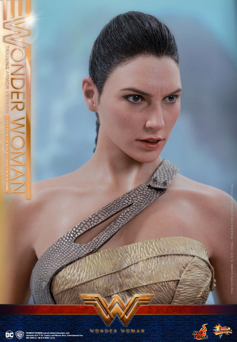 Hot-Toys---Wonder-Woman---Wonder-Woman-(Training-Armor-Version)-Collectible-Figu.jpg
