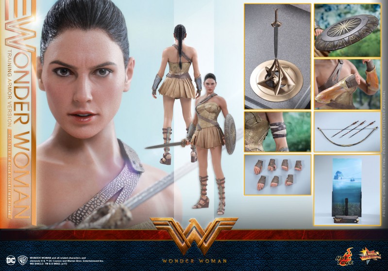 Hot-Toys---Wonder-Woman---Wonder-Woman-(Training-Armor-Version)-Collectible-Figu.jpg