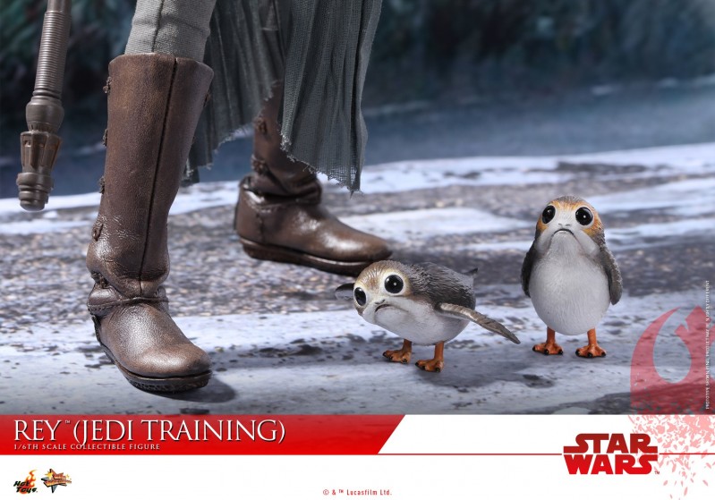 Hot Toys - SWTLJ - Rey (Jedi Training) collectible figure_PR20.jpg Hot Toys - SWTLJ - Rey (Jedi Training) collectible figure_PR20.jpg