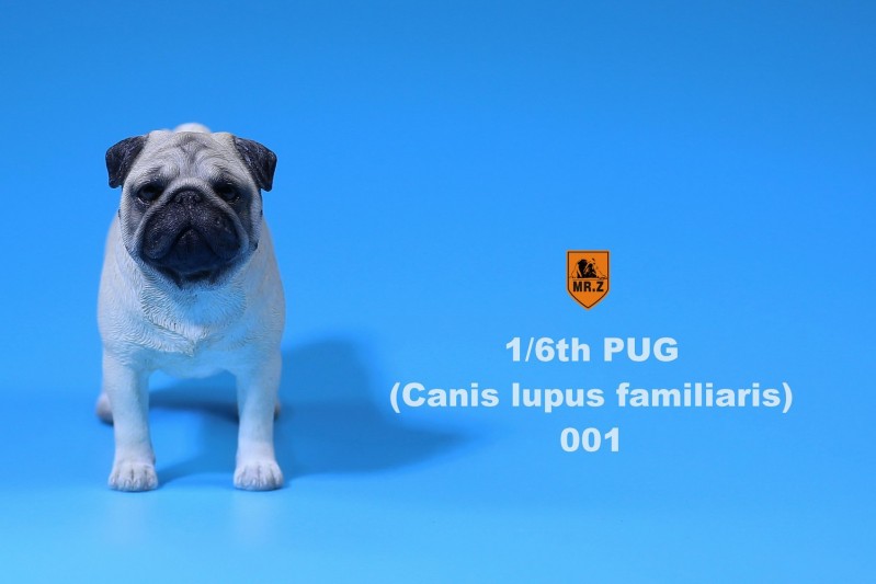 101.jpg