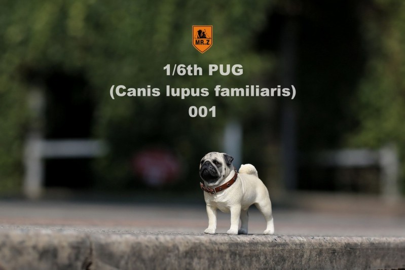 110.jpg