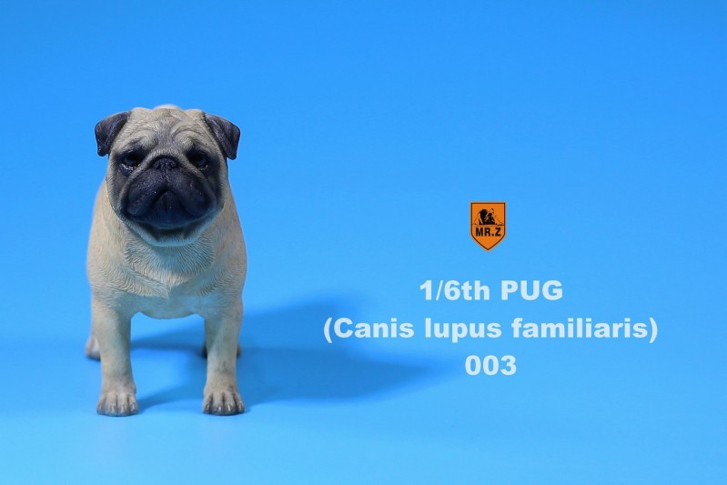 301.jpg