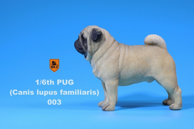 306.jpg