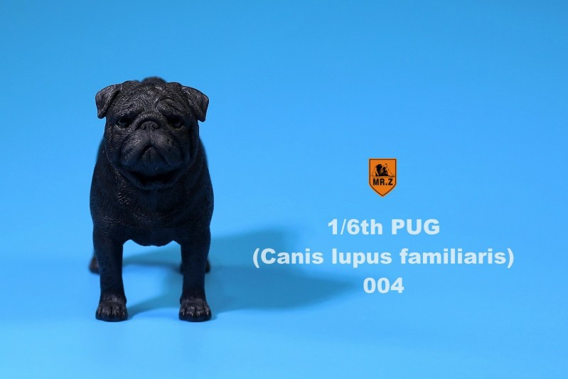 401.jpg