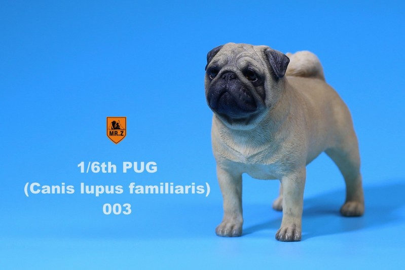 308.jpg