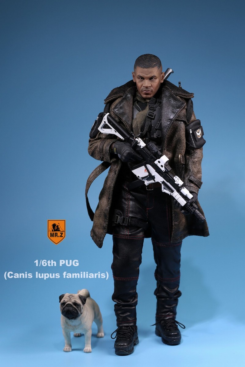 506.jpg