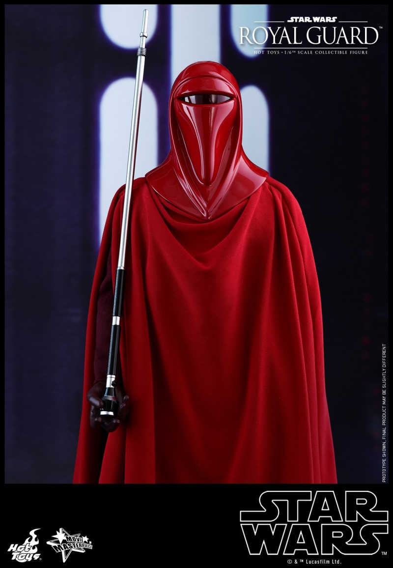 Hot Toys - SW - Royal Guard collectible figure_PR4.jpg Hot Toys - SW - Royal Guard collectible figure_PR4.jpg