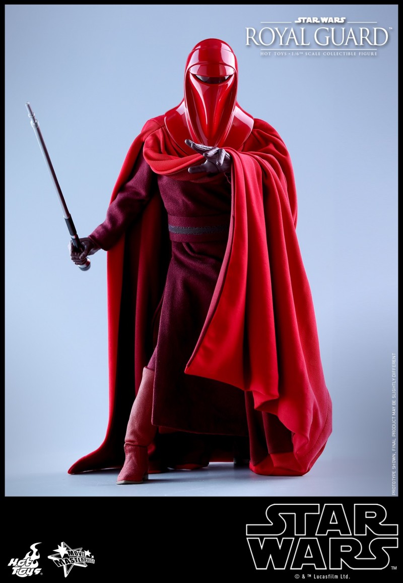 Hot Toys - SW - Royal Guard collectible figure_PR12.jpg Hot Toys - SW - Royal Guard collectible figure_PR12.jpg