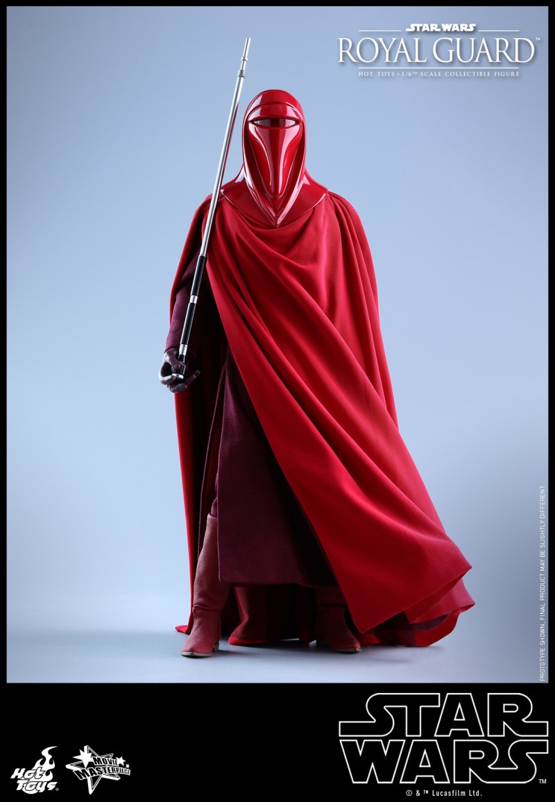 Hot Toys - SW - Royal Guard collectible figure_PR14.jpg Hot Toys - SW - Royal Guard collectible figure_PR14.jpg
