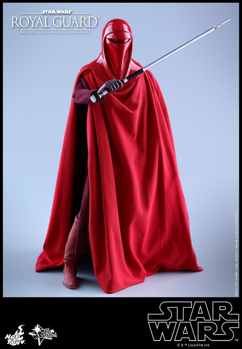 Hot Toys - SW - Royal Guard collectible figure_PR15.jpg Hot Toys - SW - Royal Guard collectible figure_PR15.jpg