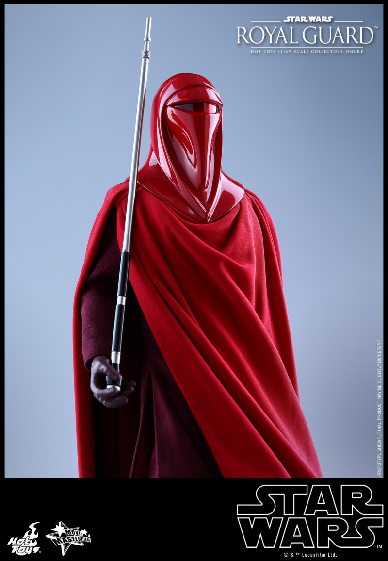 Hot Toys - SW - Royal Guard collectible figure_PR17.jpg Hot Toys - SW - Royal Guard collectible figure_PR17.jpg
