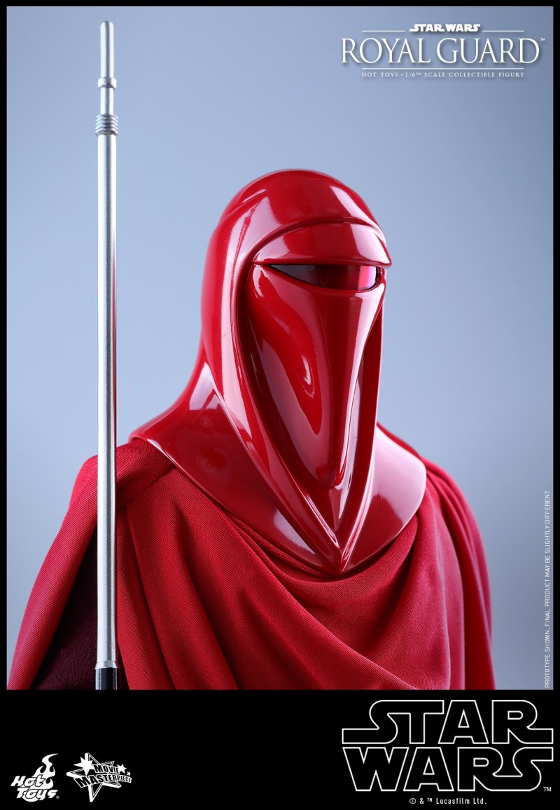 Hot Toys - SW - Royal Guard collectible figure_PR18.jpg Hot Toys - SW - Royal Guard collectible figure_PR18.jpg