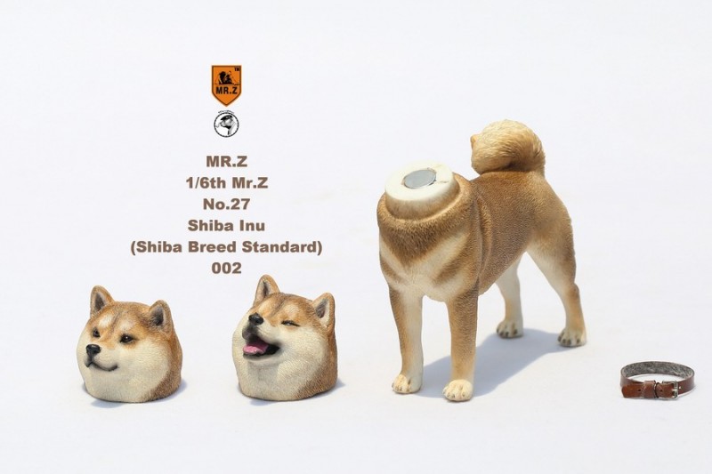212.jpg 212.jpg