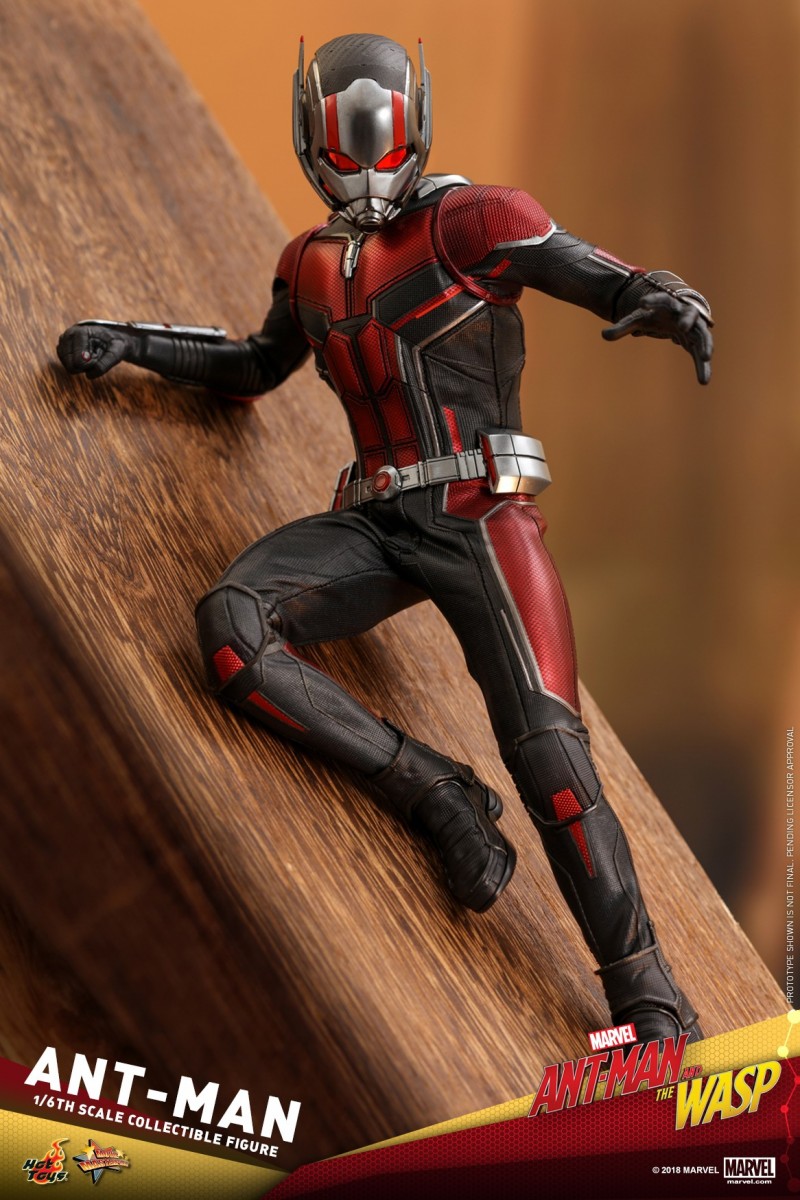 Hot-Toys-Ant-Man-and-The-Wasp-Ant-Man-Collectible-Figure_PR7.jpg Hot-Toys-Ant-Man-and-The-Wasp-Ant-Man-Collectible-Figure_PR7.jpg