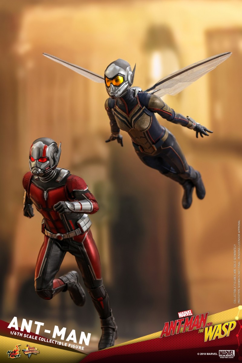 Hot-Toys-Ant-Man-and-The-Wasp-Ant-Man-Collectible-Figure_PR9.jpg Hot-Toys-Ant-Man-and-The-Wasp-Ant-Man-Collectible-Figure_PR9.jpg