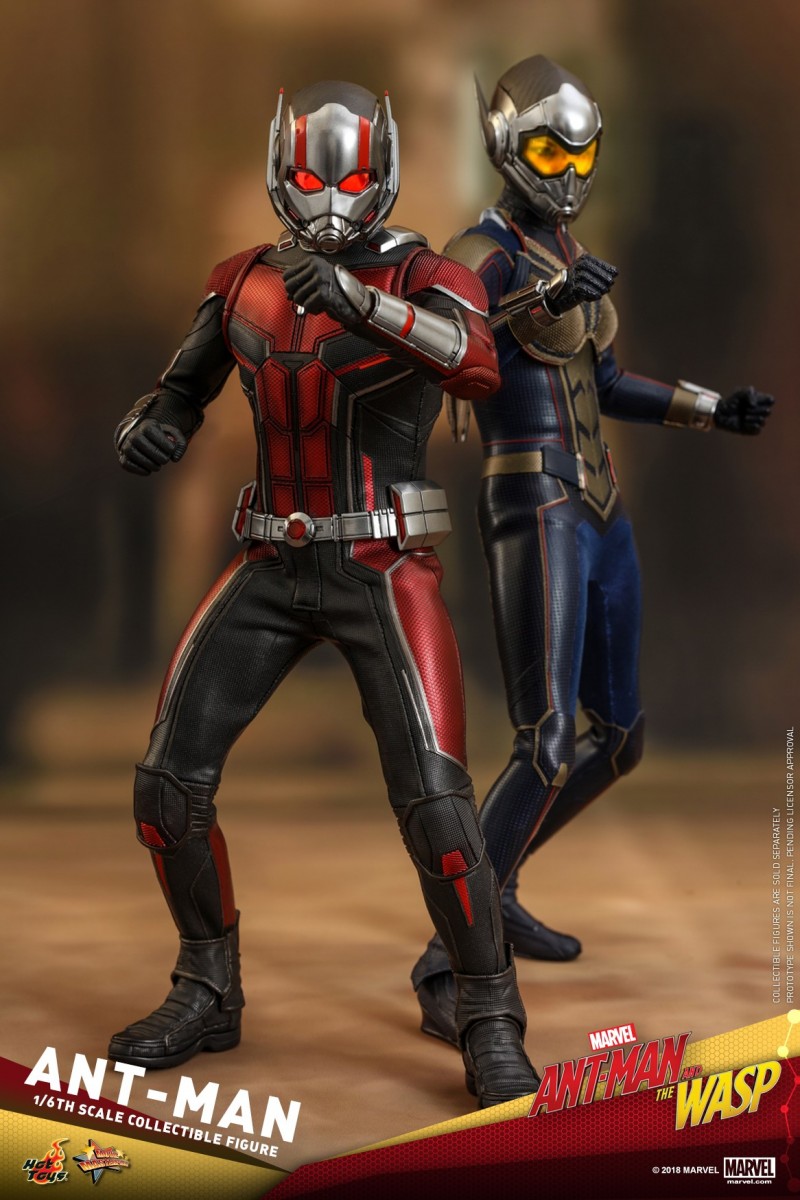 Hot-Toys-Ant-Man-and-The-Wasp-Ant-Man-Collectible-Figure_PR10.jpg Hot-Toys-Ant-Man-and-The-Wasp-Ant-Man-Collectible-Figure_PR10.jpg