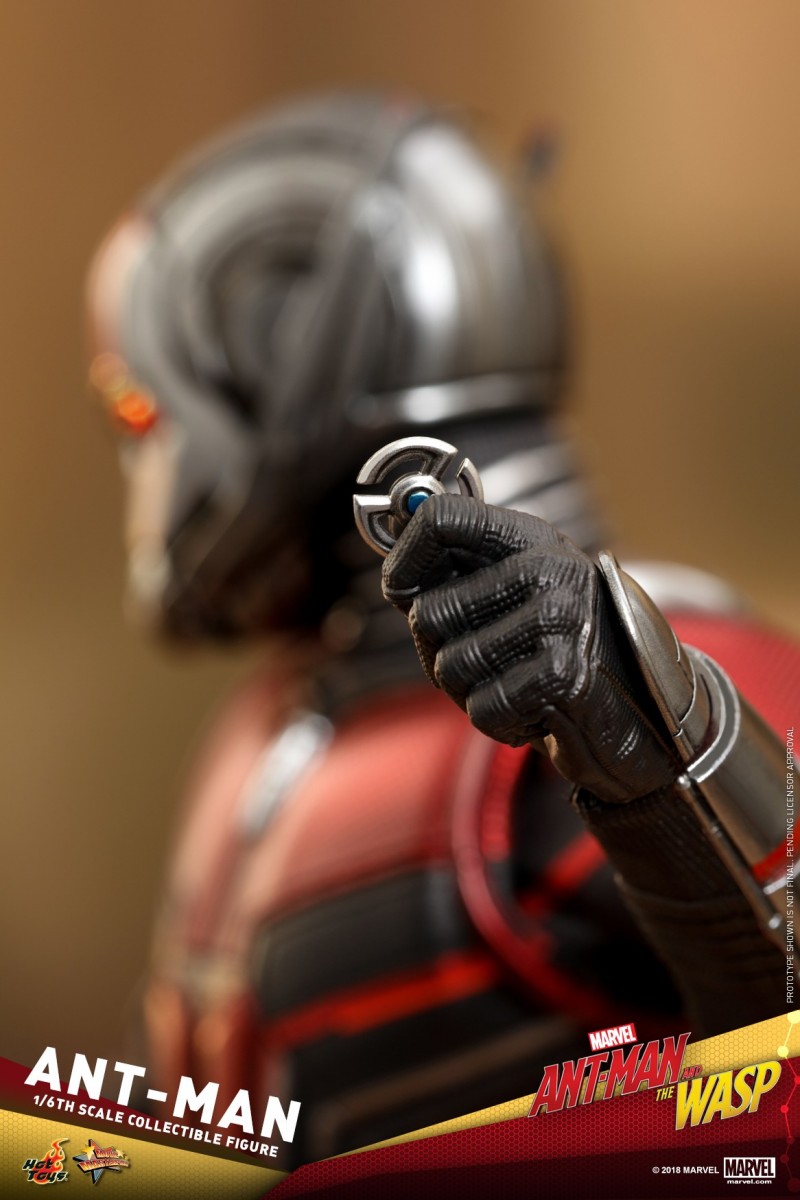 Hot-Toys-Ant-Man-and-The-Wasp-Ant-Man-Collectible-Figure_PR15.jpg Hot-Toys-Ant-Man-and-The-Wasp-Ant-Man-Collectible-Figure_PR15.jpg