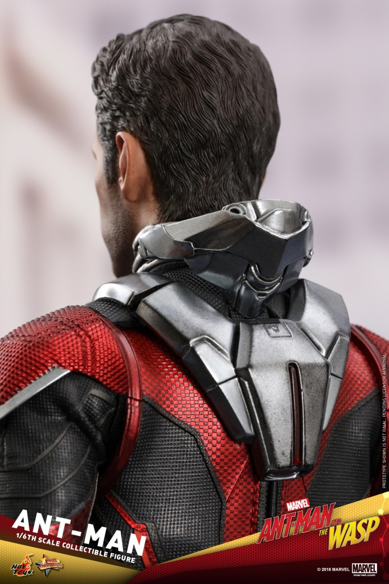 Hot-Toys-Ant-Man-and-The-Wasp-Ant-Man-Collectible-Figure_PR16.jpg Hot-Toys-Ant-Man-and-The-Wasp-Ant-Man-Collectible-Figure_PR16.jpg