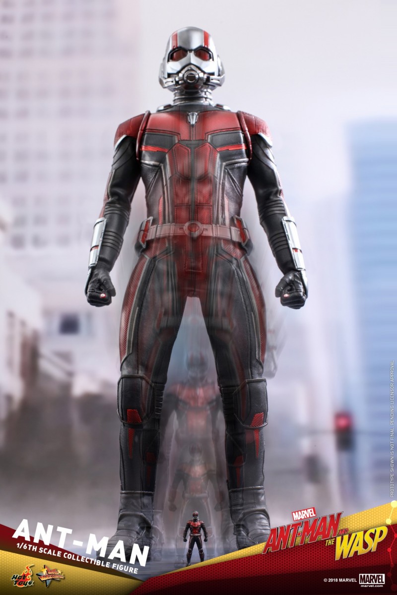 Hot-Toys-Ant-Man-and-The-Wasp-Ant-Man-Collectible-Figure_PR17.jpg Hot-Toys-Ant-Man-and-The-Wasp-Ant-Man-Collectible-Figure_PR17.jpg