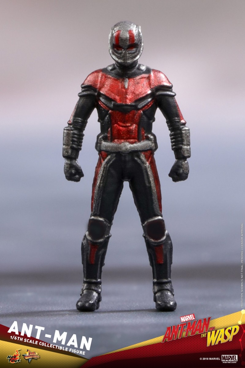 Hot-Toys-Ant-Man-and-The-Wasp-Ant-Man-Collectible-Figure_PR18.jpg Hot-Toys-Ant-Man-and-The-Wasp-Ant-Man-Collectible-Figure_PR18.jpg