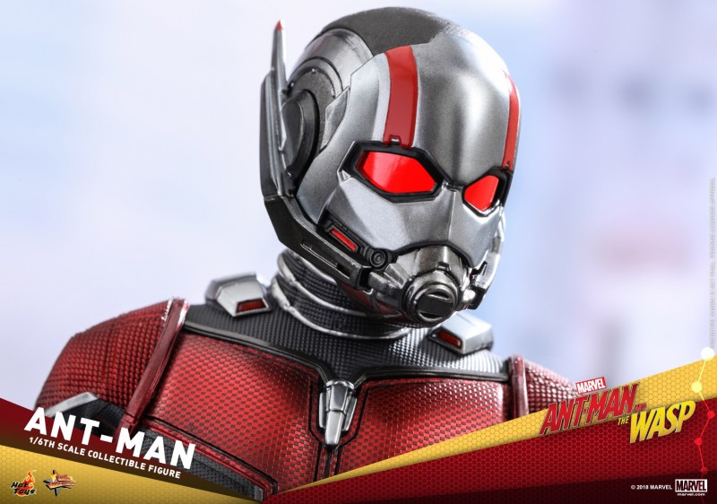 Hot-Toys-Ant-Man-and-The-Wasp-Ant-Man-Collectible-Figure_PR19.jpg Hot-Toys-Ant-Man-and-The-Wasp-Ant-Man-Collectible-Figure_PR19.jpg