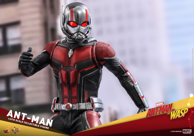 Hot-Toys-Ant-Man-and-The-Wasp-Ant-Man-Collectible-Figure_PR20.jpg Hot-Toys-Ant-Man-and-The-Wasp-Ant-Man-Collectible-Figure_PR20.jpg
