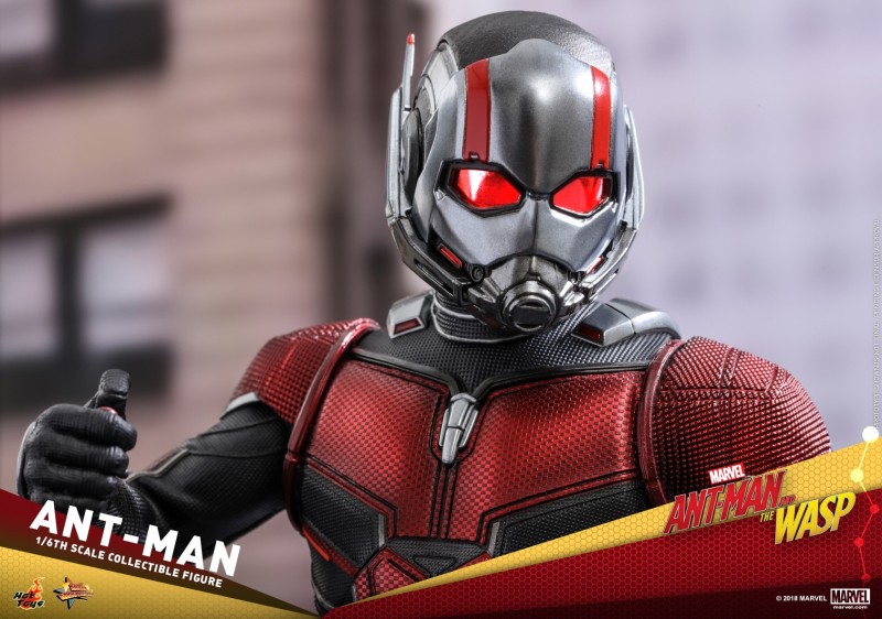 Hot-Toys-Ant-Man-and-The-Wasp-Ant-Man-Collectible-Figure_PR21.jpg Hot-Toys-Ant-Man-and-The-Wasp-Ant-Man-Collectible-Figure_PR21.jpg