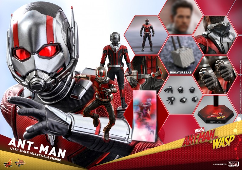 Hot-Toys-Ant-Man-and-The-Wasp-Ant-Man-Collectible-Figure_PR23.jpg Hot-Toys-Ant-Man-and-The-Wasp-Ant-Man-Collectible-Figure_PR23.jpg