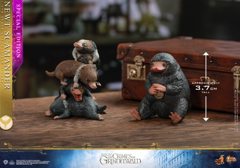 Hot Toys - Fantastic Beasts 2 - Newt Scamander Collectible Figure_PR23 (Special .jpg