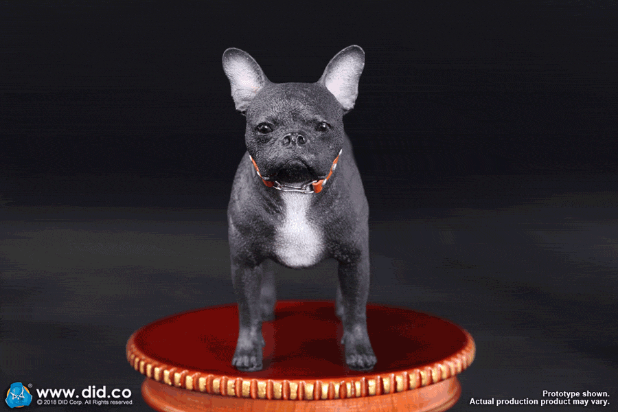 T80128S Chicago Gangster 3.0 Michael deluxe version 18.gif