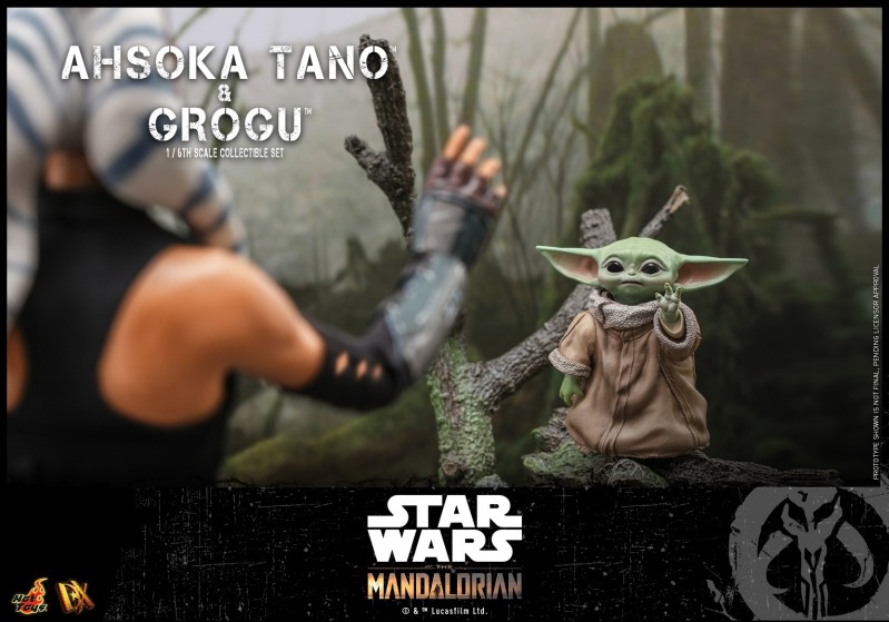 Hot Toys - SM - Ashoka Tano and Grogu Set_PR18.jpg