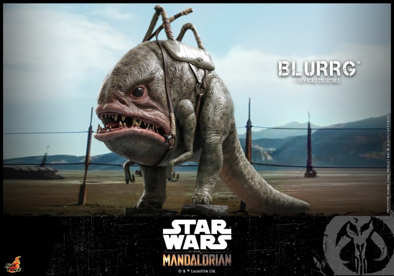 Hot Toys - Mando I - Blurrg Collectible_PR1.jpg