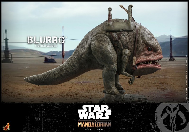 Hot Toys - Mando I - Blurrg Collectible_PR2.jpg