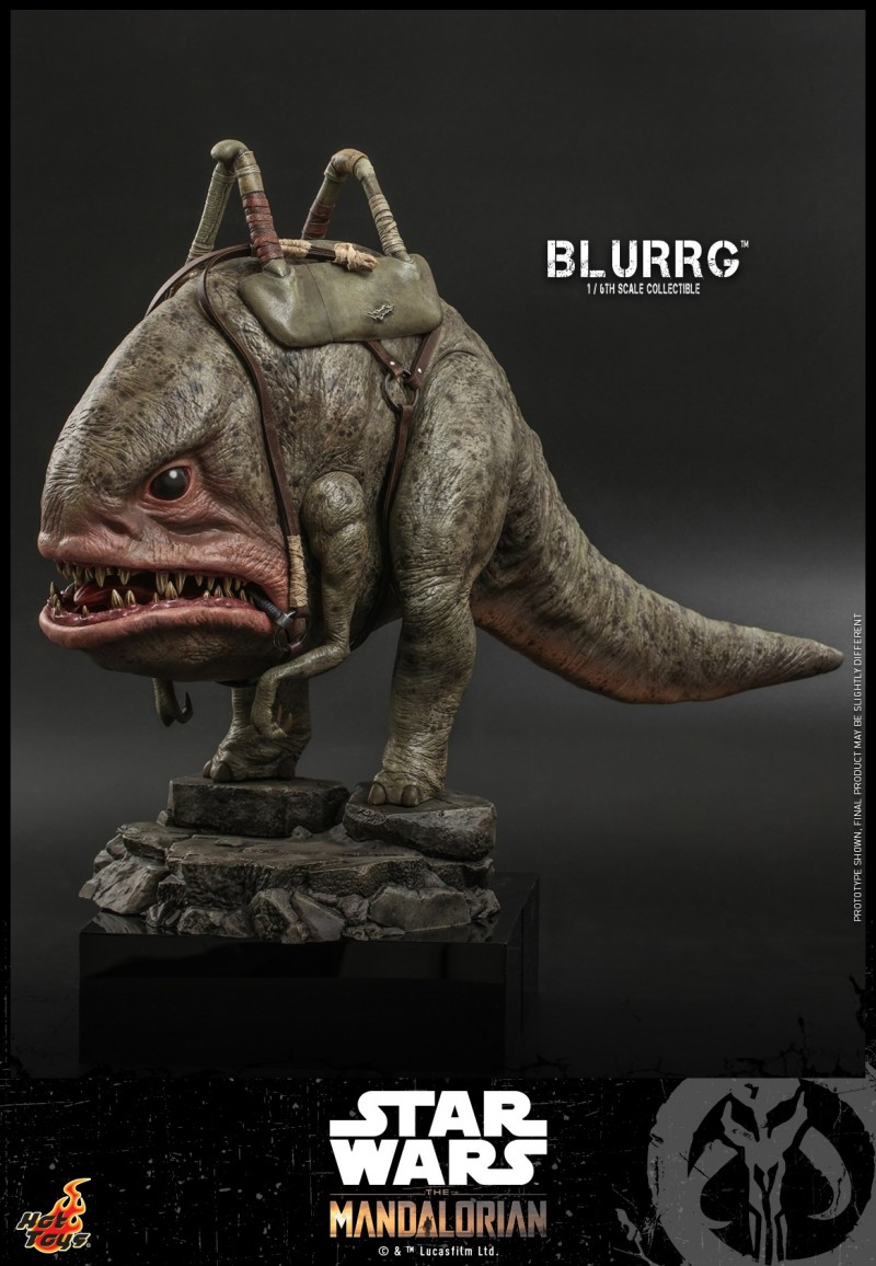 Hot Toys - Mando I - Blurrg Collectible_PR7.jpg