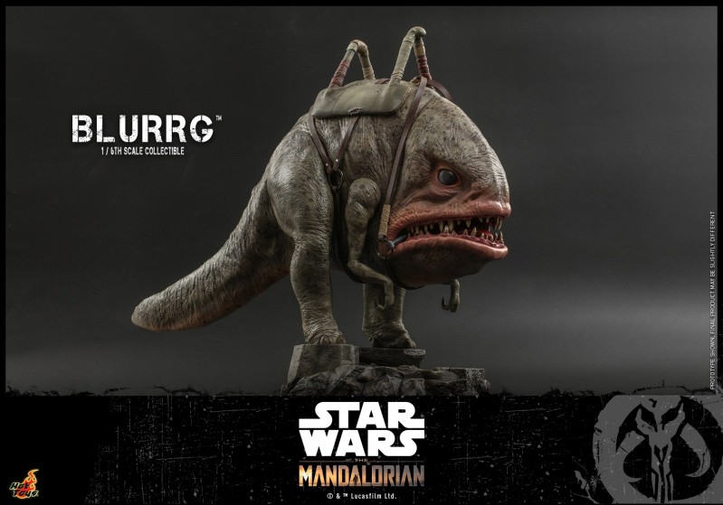 Hot Toys - Mando I - Blurrg Collectible_PR6.jpg