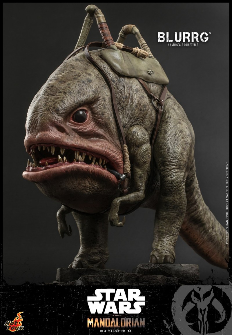 Hot Toys - Mando I - Blurrg Collectible_PR8.jpg