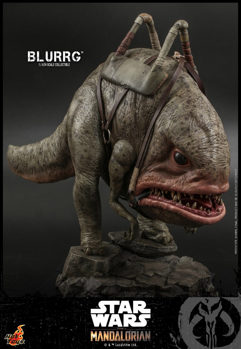 Hot Toys - Mando I - Blurrg Collectible_PR9.jpg