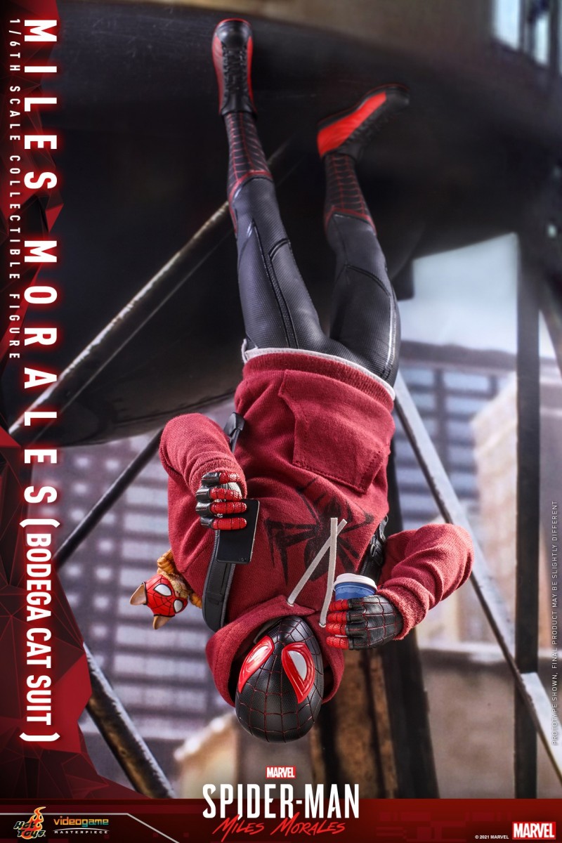 Hot Toys - SMMM - Miles Morales (Bodega Cat Suit) collectible figure_PR12.jpg