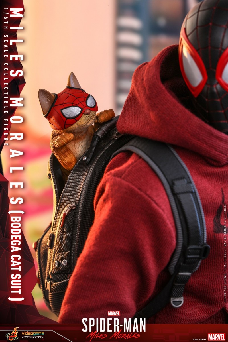 Hot Toys - SMMM - Miles Morales (Bodega Cat Suit) collectible figure_PR13.jpg
