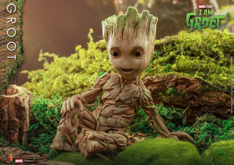 IAMGROOT_H_03.jpg