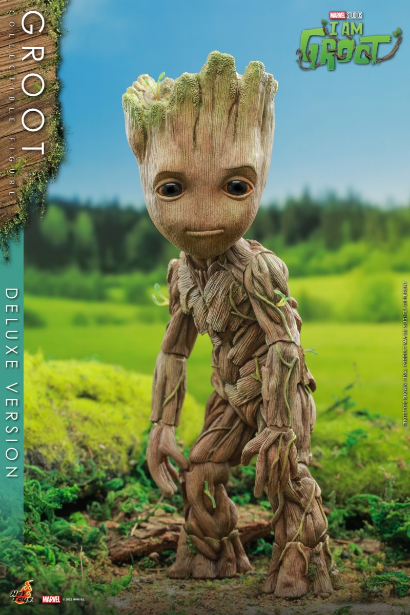 IAMGROOT_V_08.jpg