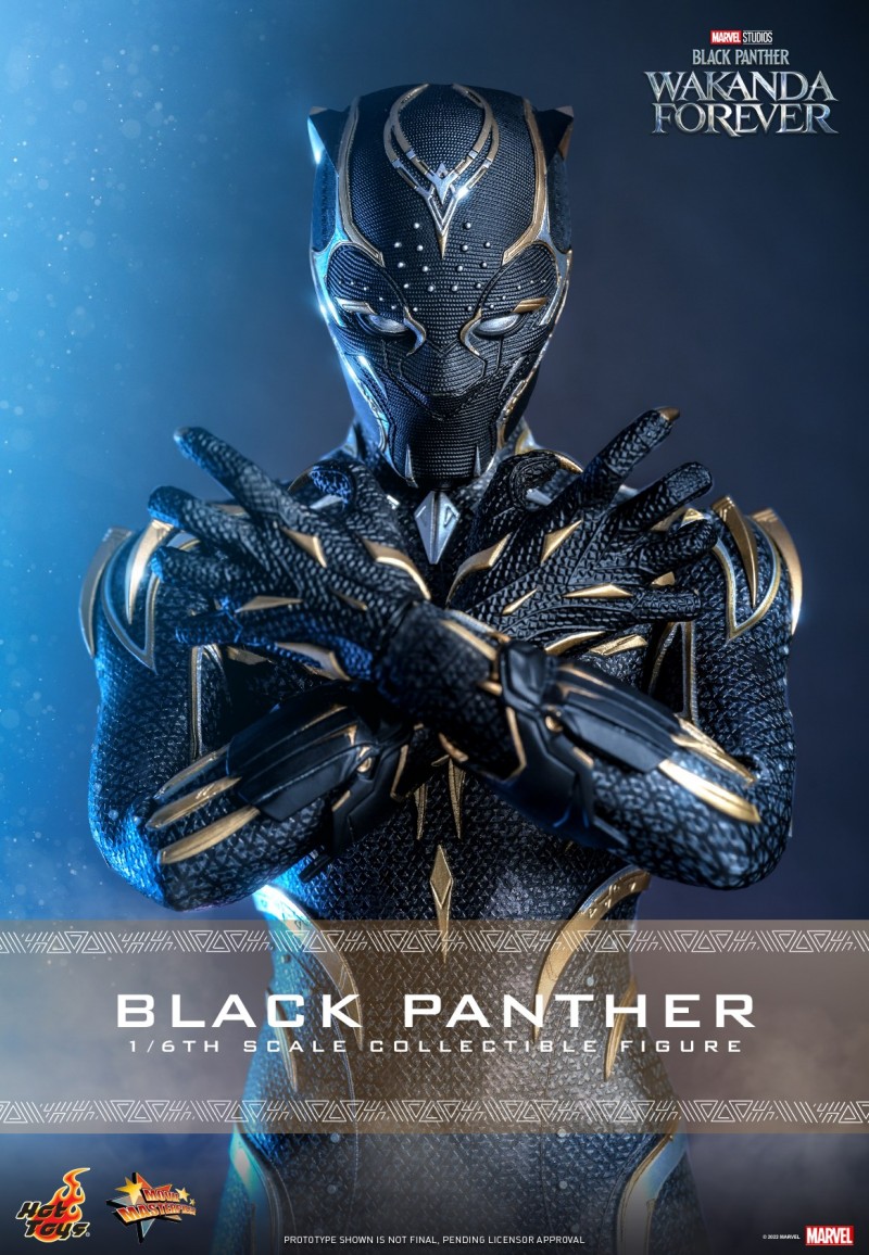 Hot Toys - BP2 - Black Panther collectible figure_Poster.jpg Hot Toys - BP2 - Black Panther collectible figure_Poster.jpg