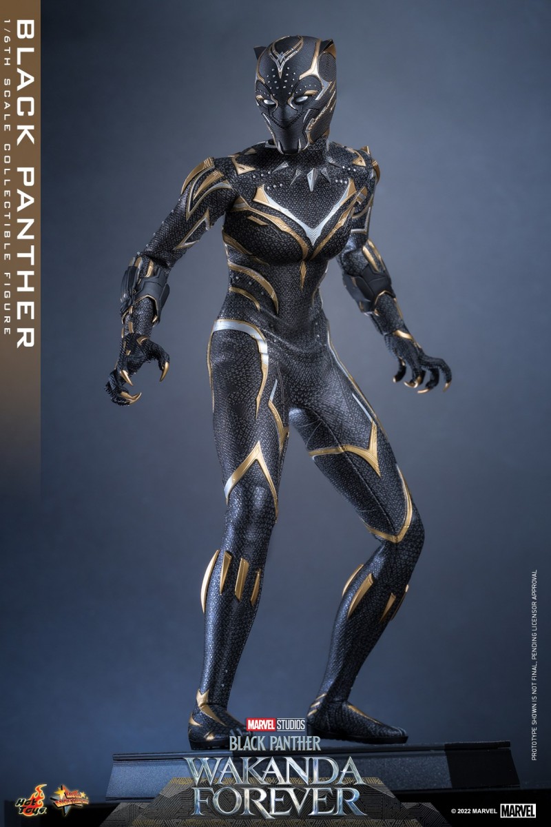 Hot Toys - BP2 - Black Panther collectible figure_PR2.jpg Hot Toys - BP2 - Black Panther collectible figure_PR2.jpg