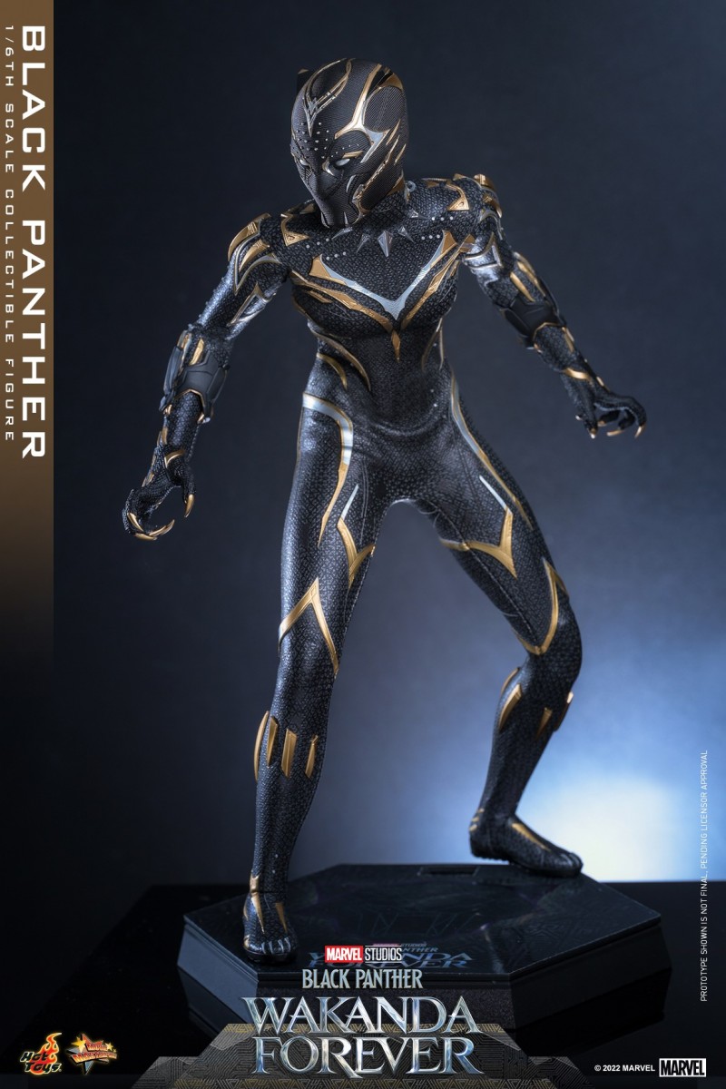 Hot Toys - BP2 - Black Panther collectible figure_PR3.jpg Hot Toys - BP2 - Black Panther collectible figure_PR3.jpg