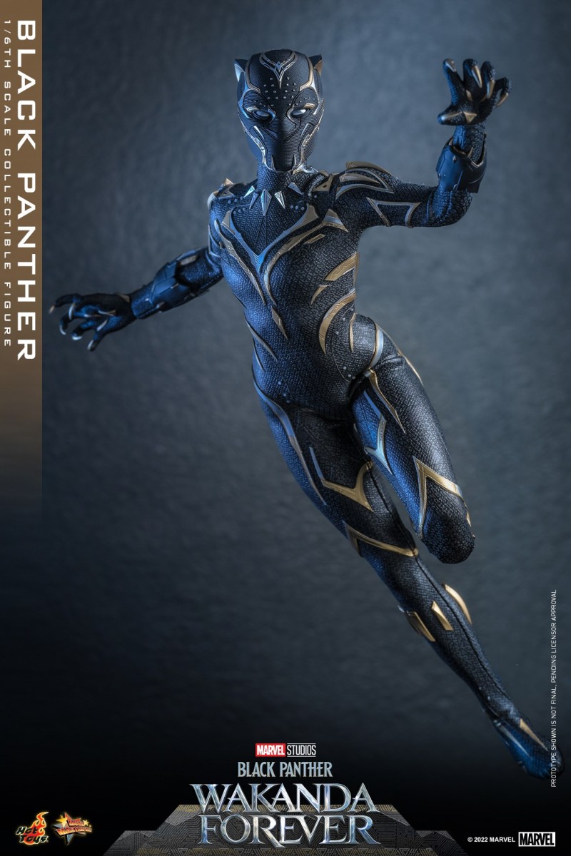 Hot Toys - BP2 - Black Panther collectible figure_PR4.jpg Hot Toys - BP2 - Black Panther collectible figure_PR4.jpg