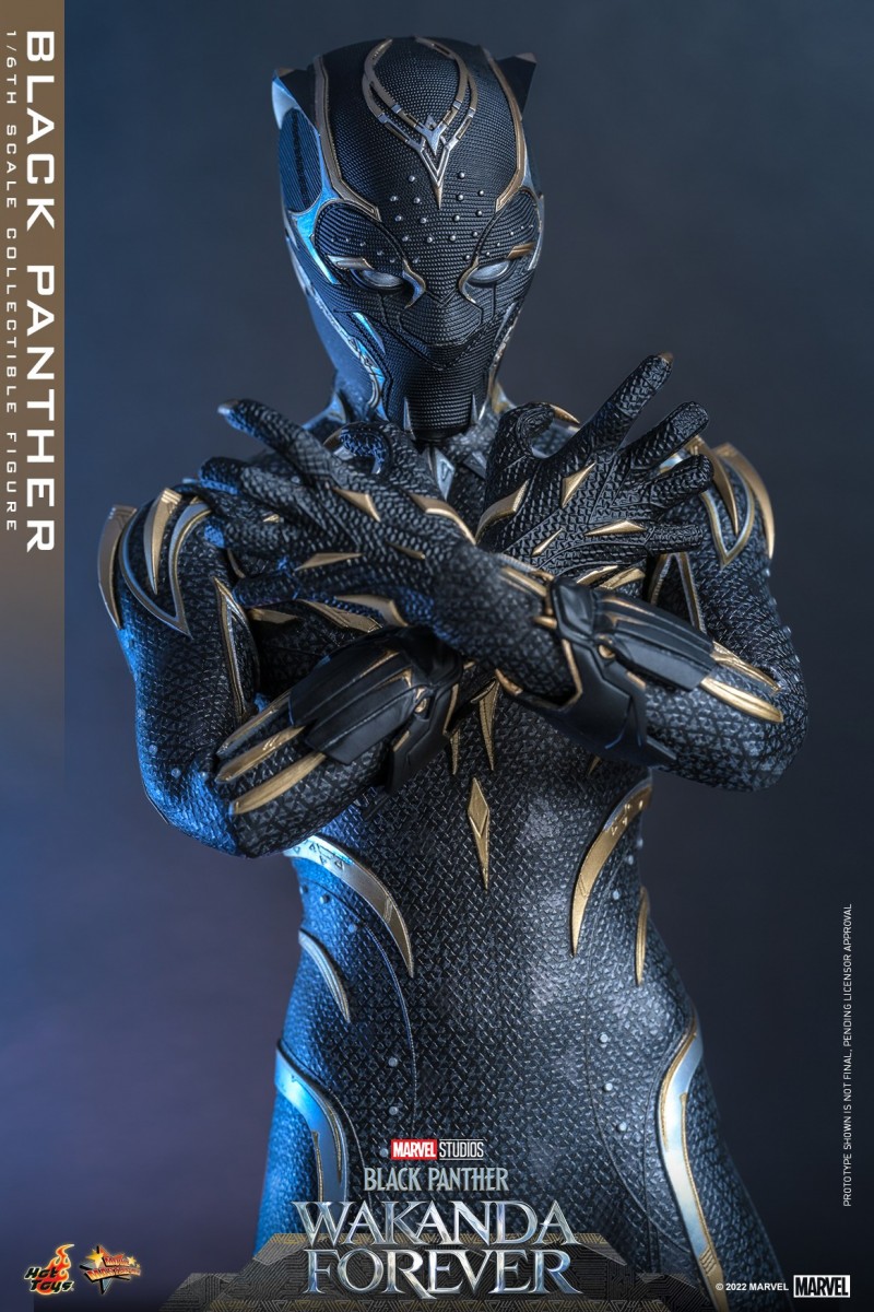 Hot Toys - BP2 - Black Panther collectible figure_PR10.jpg Hot Toys - BP2 - Black Panther collectible figure_PR10.jpg