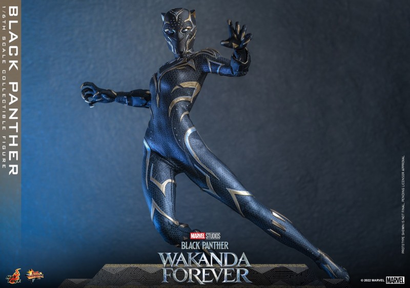 Hot Toys - BP2 - Black Panther collectible figure_PR15.jpg Hot Toys - BP2 - Black Panther collectible figure_PR15.jpg